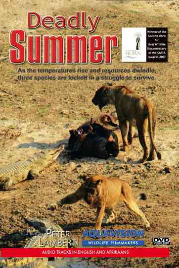 Deadly Summer Poster