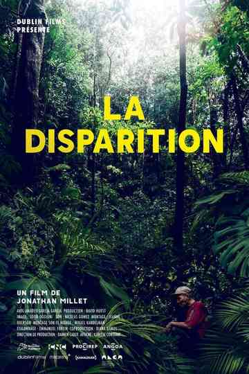 La Disparition poster