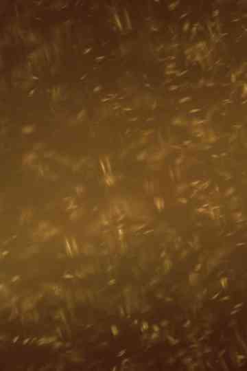 A Heap of Broken Images Poster