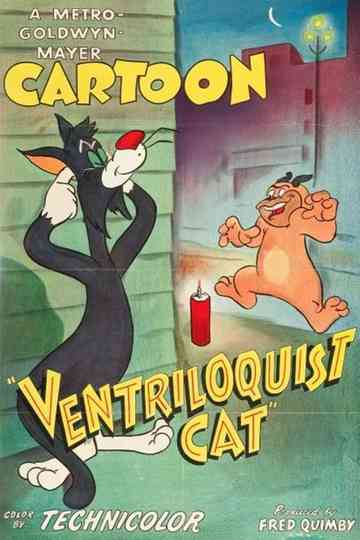 Ventriloquist Cat Poster