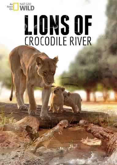 Lions of Crocodile River Poster