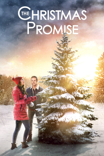 The Christmas Promise