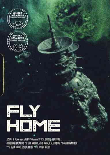 Fly Home Poster