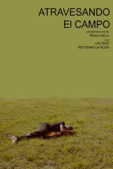 Atravesando el campo Poster