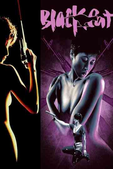 Black Cat Collection Poster