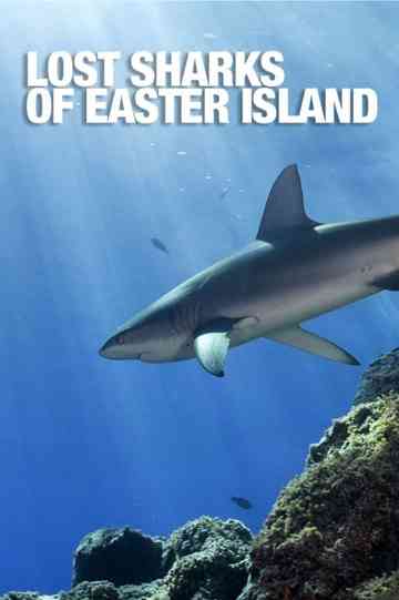 Lost Sharks of Easter Island Poster