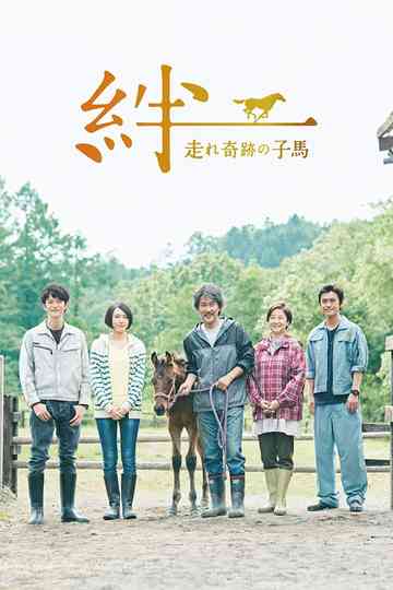 Ties: A Miraculous Colt Poster