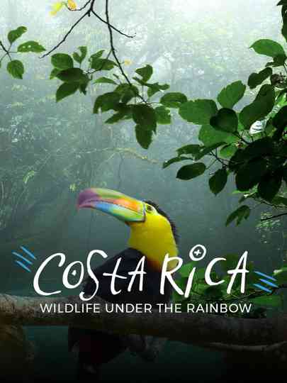 Costa Rica Wildlife Under The Rainbow poster
