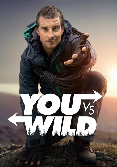 You vs. Wild Poster