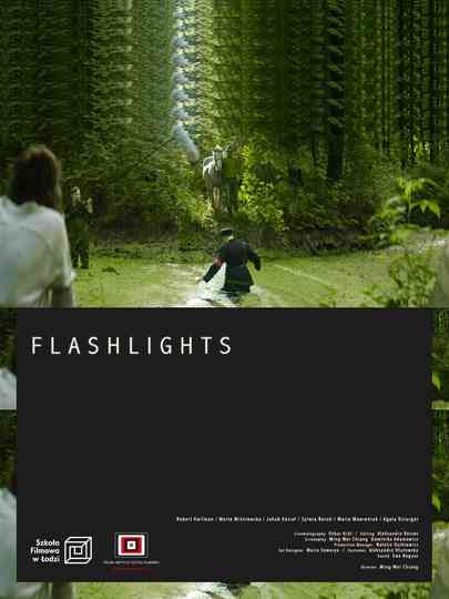 Flashlights Poster