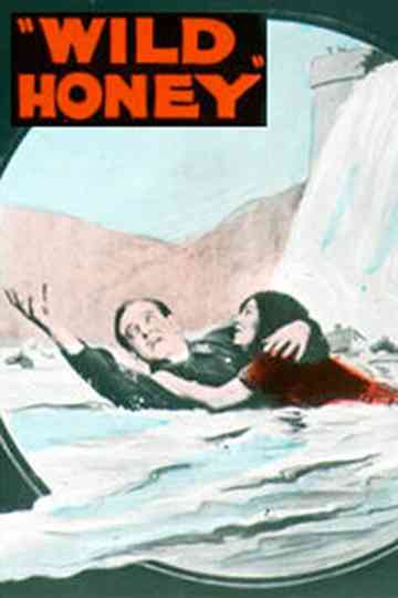 Wild Honey Poster