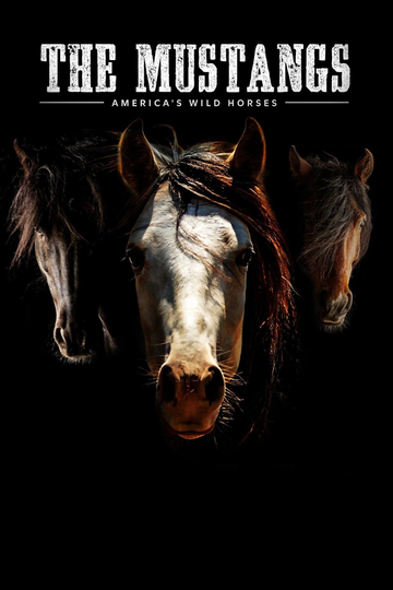 The Mustangs Americas Wild Horses