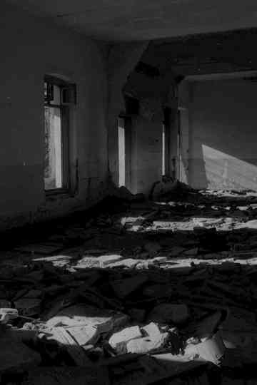 Children and ruins Poster