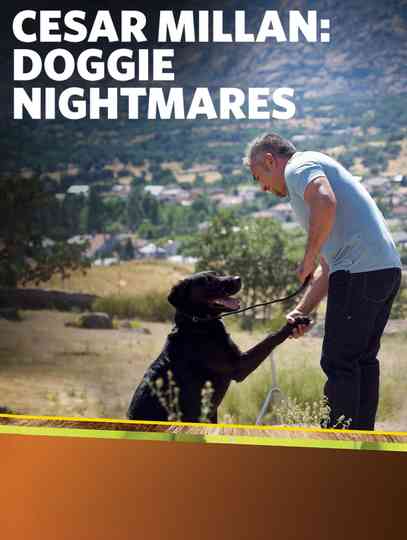 Cesar Millan Doggie Nightmares Poster