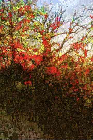 Pauillac Margaux Poster