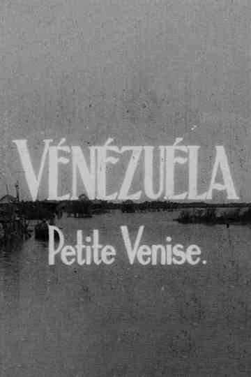 Venezuela, little Venice Poster