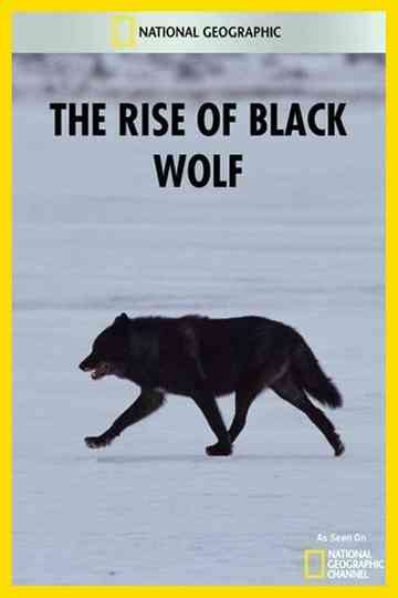 The Rise of Black Wolf Poster
