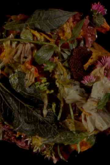 Wasteland No. 3: Moons, Sons Poster