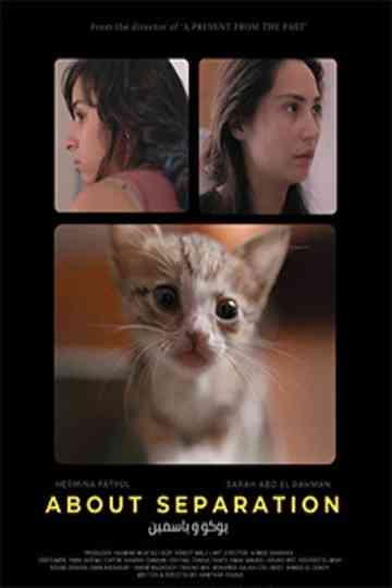 About Separation Poster