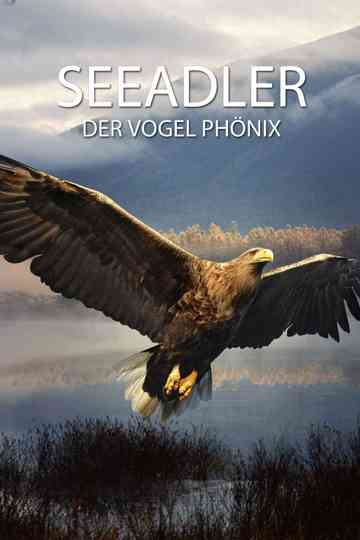 Seeadler - Der Vogel Phönix Poster