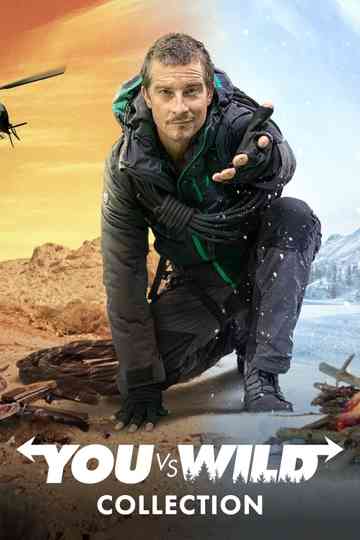 You vs. Wild (Collection) Poster
