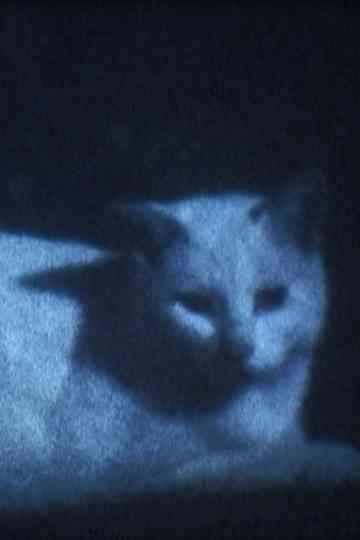 DARK BLACK SHADOW PEOPLE Poster