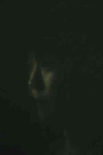 My Little Sister And Bruckner Poster