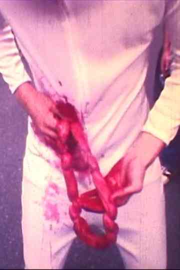 Kimi no haguki Poster