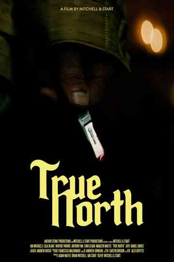 True North Poster