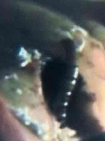 Erotic Fantasy Poster