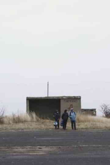 I Live in a Zoo Poster