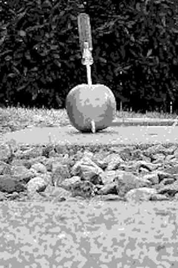 the apple core Poster