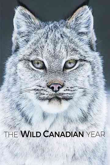The Wild Canadian Year Poster