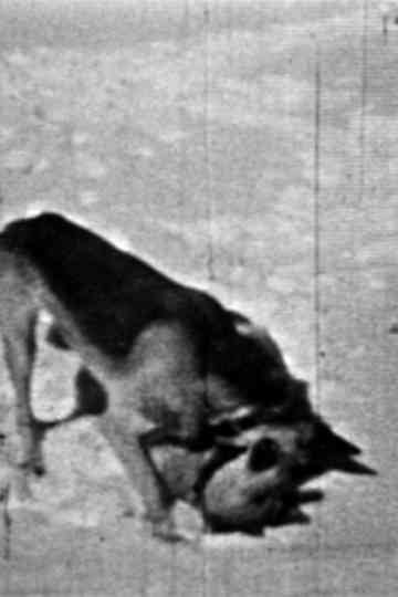 Mechanical Memory Poster