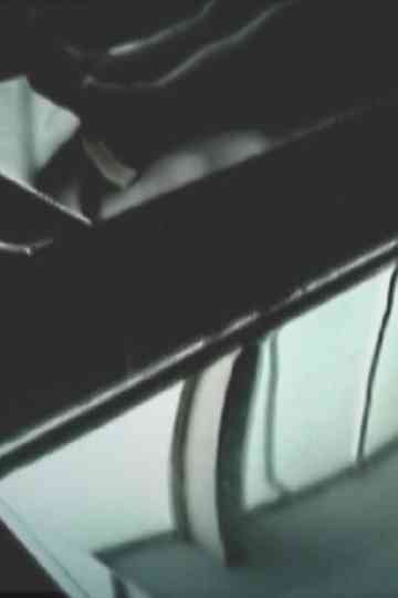 Sane Impression 2 Poster