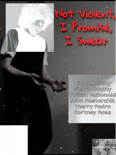 Not Violent I Promise I Swear