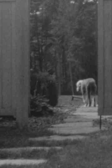 Stepping Stones Poster