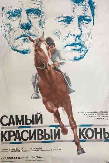The Most Beautiful Horse Poster