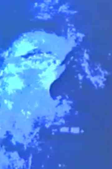 Bridal Chamber Poster