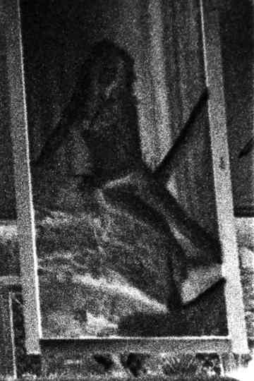 The Girl Who Is Poster