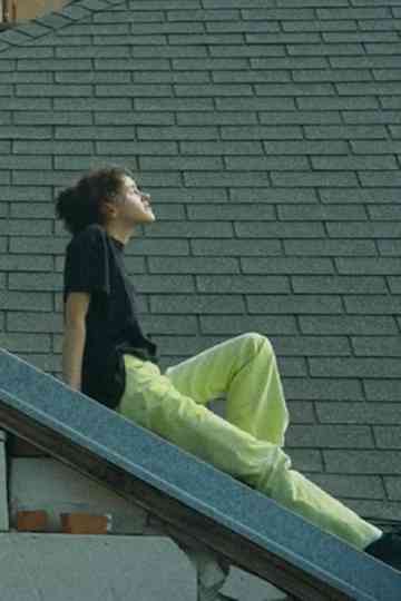 I Have Never Been on an Airplane Poster