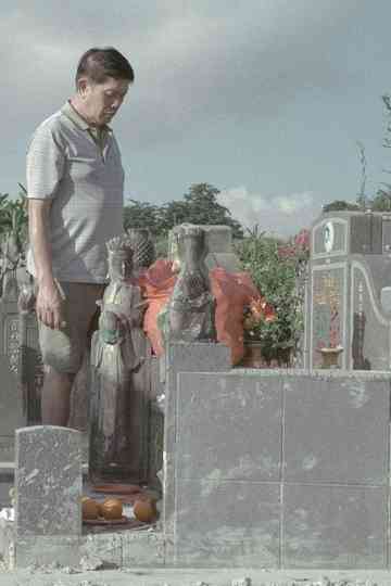 Nothing in the Cries of Cicadas Poster