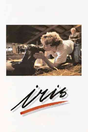 Iris Poster