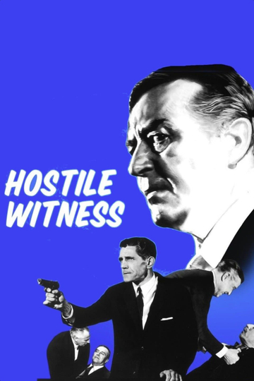 Hostile Witness Poster