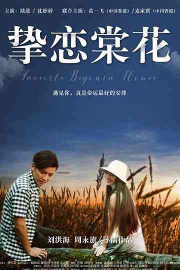 Favorite Begonia Flower Poster