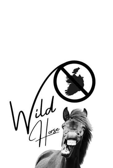 Wild Horse Nine Poster