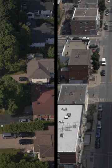 Neighbors in my backyard Poster