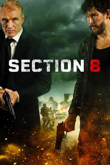 Section 8
