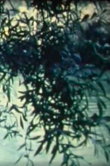 Le radar cherche Poster