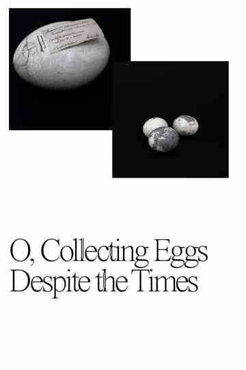 O, Collecting Eggs Despite the Times Poster